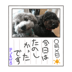 junko_20211018203141