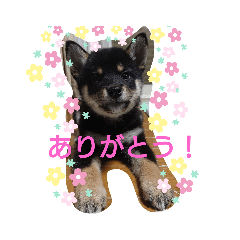 ayumi_20211018223902