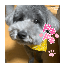 yuka_2021101900331