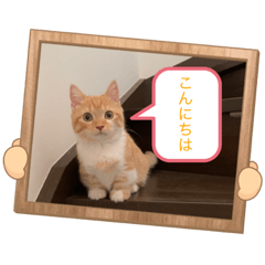 miki_20211019081820