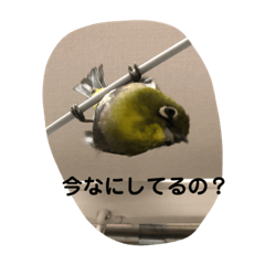 olivia_20211018180442