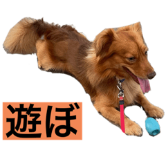 yuka_20211018180740