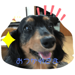 mayumi_20211018204040