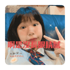 這隻豬的日常