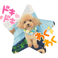 kaori_20211018220821