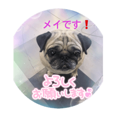 Akiko_20211018181054