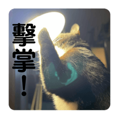 阿弟就是阿弟
