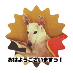 chan_20211018214354