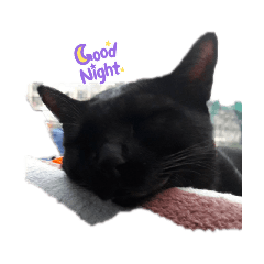 srinin_20211018192007