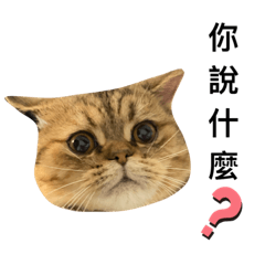 饅頭咪咪日常記