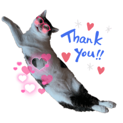 Kujyo*_20211019005332 – LINE stickers | LINE STORE