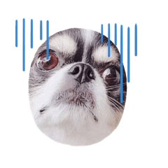 Kkami