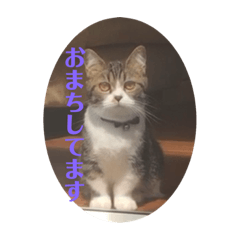 miki_20211019103515