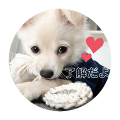 risa_20211019133548