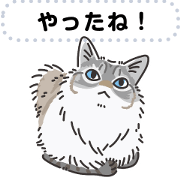 A lot of cats [Catloaf Part 9]