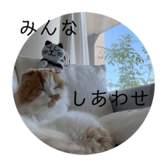 miki_20211019151057