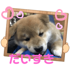 kaori_20211019151500
