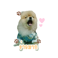 GAM_20211018184351