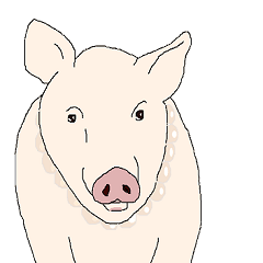 Pearl necklace pig