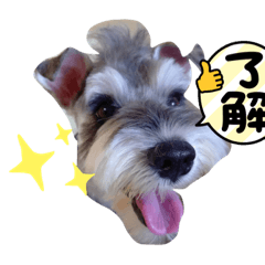 Aoi_20211019190819