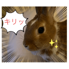 suzu_20211019195020