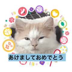 ousuke_20211019203549