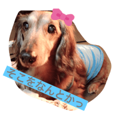 saori_20211019212100