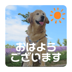hana_20211019223525