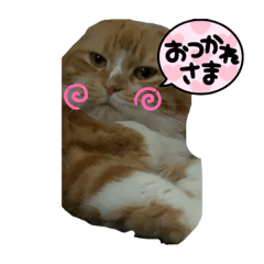 TOMOYO_20211019203018