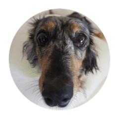 MIZUKI_20211020011614