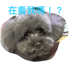 Baby's daily life 1