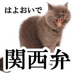 ぶさかわいい猫のスタンプ関西弁：シンプル