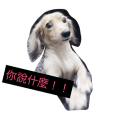 妹妹也來貼