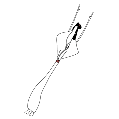 Beautiful Japanese hair