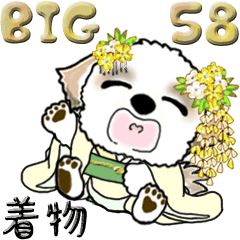 【Big】シーズー犬 58『着物』