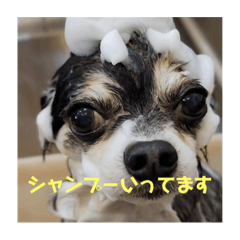 yuka_20211020141408
