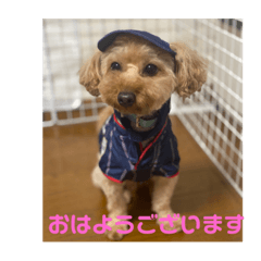 MAYUMI_20211020153850