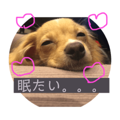 Miki_20211020160056