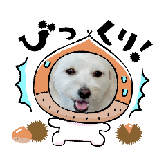 arisa_20211020161806