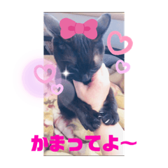 sayuri_20211020171632