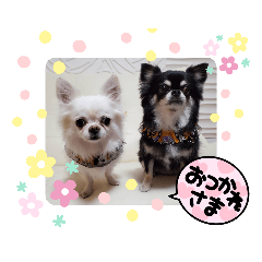 8 & 1_20211020203330