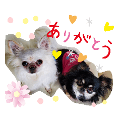 8 & 1_20211020205639