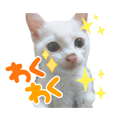NANA_SPOON