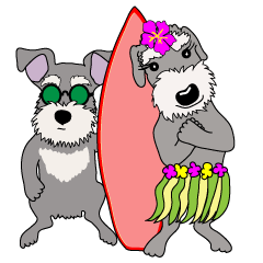 Lucky Dogs_2 : Schnauzer in Hawaii