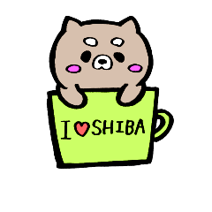SHIBA  DOG