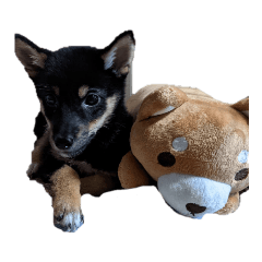 saori_20211020214513