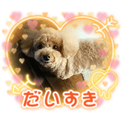 hana_20211020224813