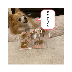 kuu_20211020224206