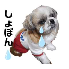 nozomi_20211021112146