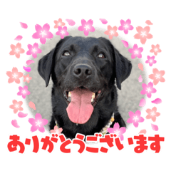 mayumi_20211021113650